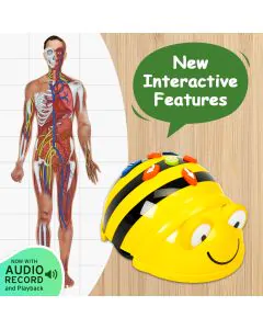 Bundle Bee-Bot Floor Robot and Human Body Mat