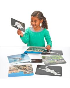 Roylco Discover Dinosaurs Picture Cards and X-rays. 12 beautiful picture cards and matching x-rays!  R59240
